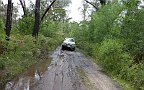 26-Laurie enjoys a bog hole near Rose Creek in the Grampians